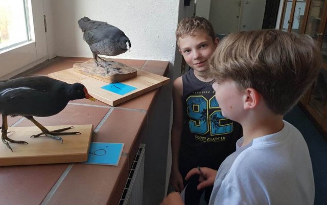 Abschlussgrillen der Klasse 4b im Biologiezentrum Bustedt